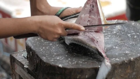 Man Cutting Fresh Fish Stock Footage 119995892