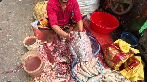 Man Cutting Fresh Fish at Kawran Bazar Fish Market in Dhaka, Bangladesh Stock-Footage 343150280