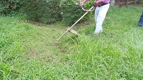 A man cutting the grass with grass cutter. Stock Footage 157762818