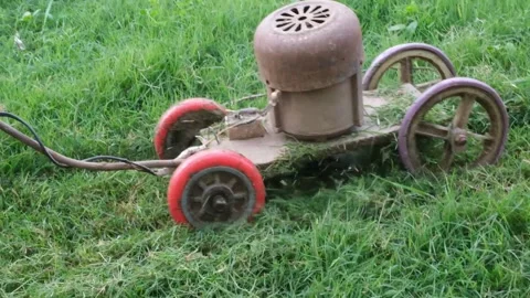 Man cutting grass with with Grass machine Stock Footage 194277677