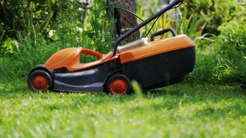 Man cutting grass in his yard with corded electric lawn mower Stock Footage 119444282
