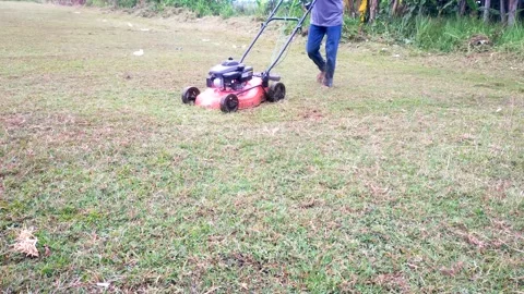 Man cutting grass using lawn mower Stock Footage 290437292