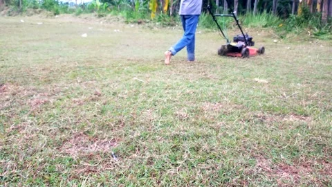 Man cutting grass using lawn mower Stock Footage 290448728