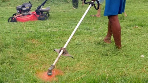 Man cutting grass using a lawn mower Stock Footage 306779755