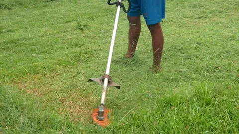 Man cutting grass using a lawn mower Stock Footage 306779770