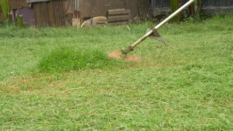 Man cutting grass using a lawn mower Stock Footage 306779785