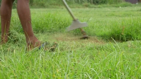 Man cutting grass using a lawn mower Stock Footage 306779799