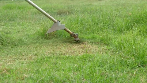 Man cutting grass using a lawn mower Stock Footage 306779810