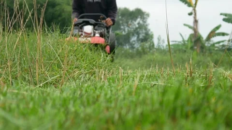 A man cutting grass using a push lawn mower Stock Footage 306779295