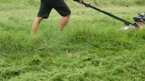 A man cutting grass using a push lawn mower Stock Footage 306779416
