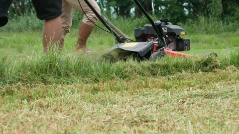 A man cutting grass using a push lawn mower Stock Footage 306779436