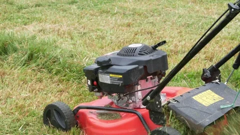 A man cutting grass using a push lawn mower Stock Footage 306779455