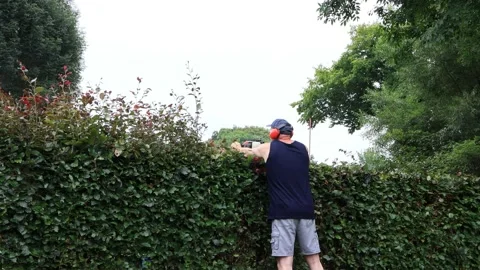 Man cutting hedge with engine trimmer, gardening Stock Footage 226806877