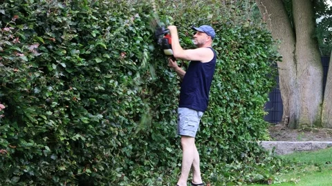 Man cutting hedge with engine trimmer, gardening Stock Footage 226906078