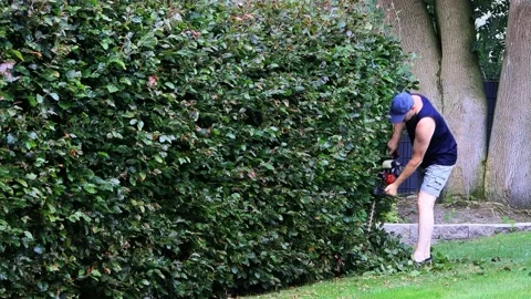 Man cutting hedge with engine trimmer, zoom in,  gardening Stock Footage 226933473