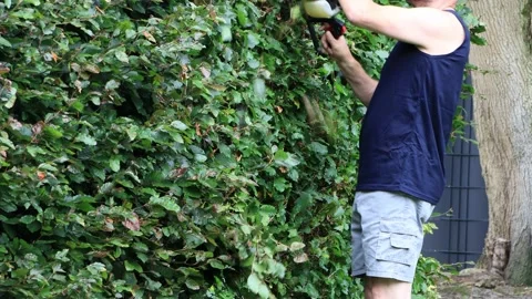 Man cutting hedge with engine trimmer, gardening Stock Footage 231033204