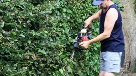 Man cutting hedge with engine trimmer, gardening Stock Footage 231093725