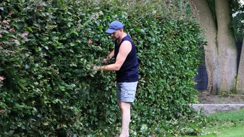 Man cutting hedge with engine trimmer, gardening Stock Footage 241892423