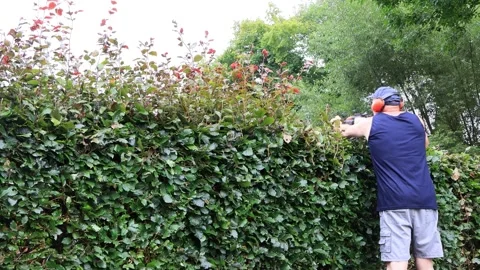 Man cutting hedge with engine trimmer, gardening Stock Footage 246297518