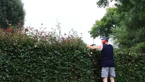 Man cutting hedge with engine trimmer, gardening Stock Footage 246304390