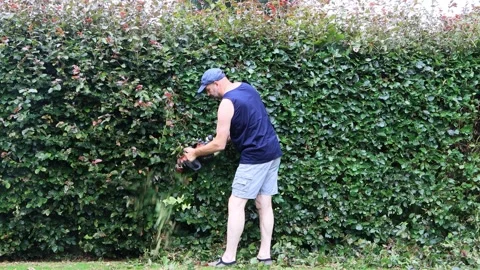Man cutting hedge with engine trimmer, gardening Stock Footage 246304499