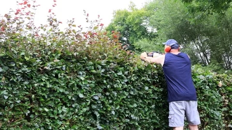 Man cutting hedge with engine trimmer, gardening Video stock 246306549