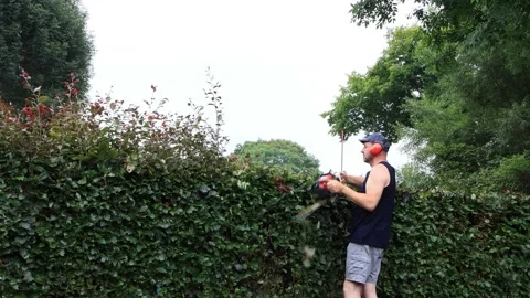 Man cutting hedge with engine trimmer, gardening Video stock 246307628