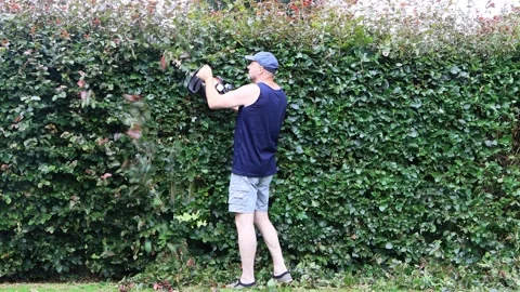 Man cutting hedge with engine trimmer, gardening Video stock 246307724