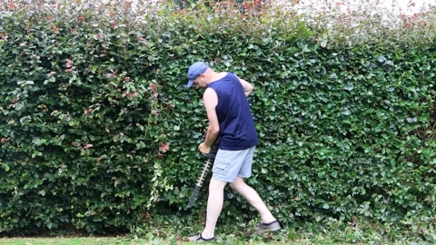 Man cutting hedge with engine trimmer, gardening Video stock 246312210