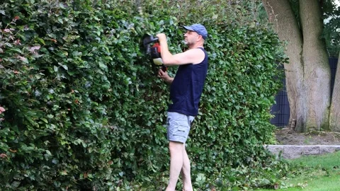 Man cutting hedge with engine trimmer, gardening Video stock 247439623