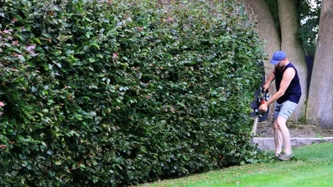 Man cutting hedge with engine trimmer, zoom in,  gardening Stock Footage 247439771
