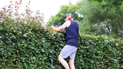 Man cutting hedge with engine trimmer, gardening Stock Footage 247466401
