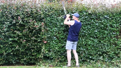 Man cutting hedge with engine trimmer, gardening Stock Footage 247466466