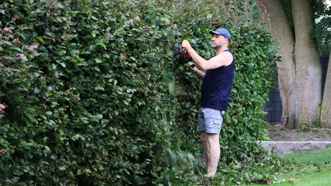 Man cutting hedge with engine trimmer, gardening Stock Footage 247466680