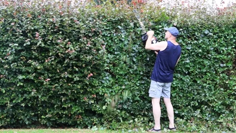 Man cutting hedge with engine trimmer, gardening Stock Footage 247484015