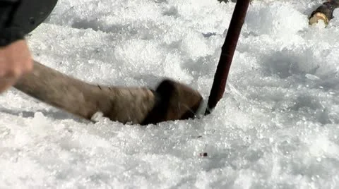 A man cutting a hole in the ice Stock Footage 11301298