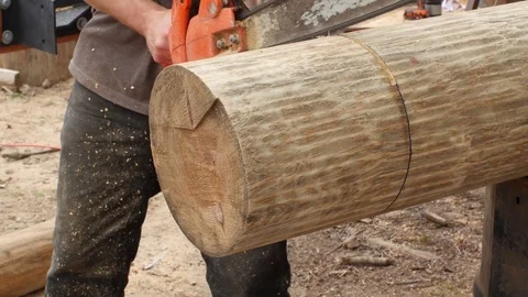 Man cutting huge log timber with orange chainsaw at work site Stock Footage 76246112