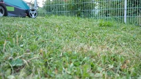 Man cutting lawn with grass mower 動画素材 89865998