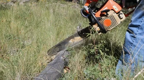 A man cutting a log with a chainsaw Stock Footage 67671399