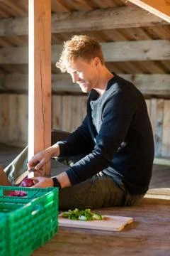 Man Cutting Onion While Sitting In Shed 写真素材