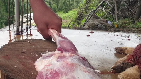Man cutting sheep meat Stock-Footage 247114995