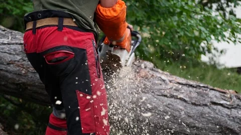 Man cutting a tree with a chainsaw and flying shavings in slow motion Stock Footage 169170983
