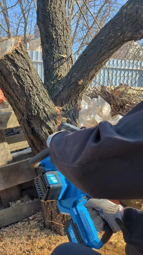 Man cutting a tree with a chainsaw Stock Footage 267689803