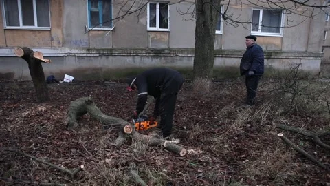 Man cutting tree, Russian invasion to Ukraine, Bakhmut 2022 and 2023 스톡 동영상 230925332