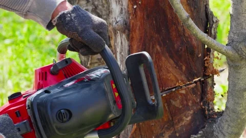 Man Cutting Tree Trunk with Chainsaw Outdoors Stock Footage 334307697