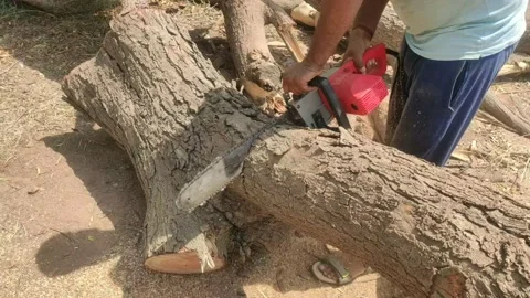 A man cutting tree trunk by cutter machine Stock Footage 133023081