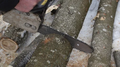 Man Cutting Trees With A Chainsaw Video stock 87698938