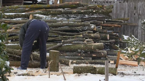 Man Cutting Trees With Chainsaw Stock Footage 87698961