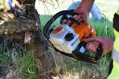 Man cutting trees using an chainsaw. Close-up Stock Photos