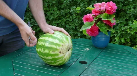 Man cutting watermelon Stock Footage 54033936